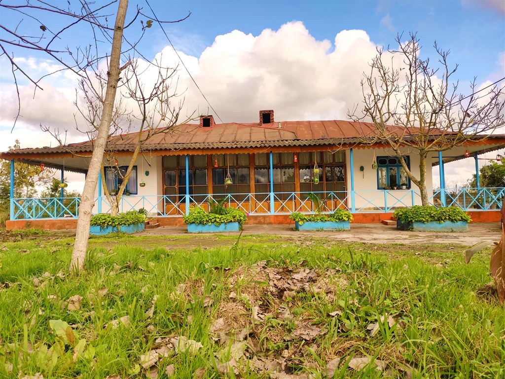 دلایل انتخاب kolbe-center